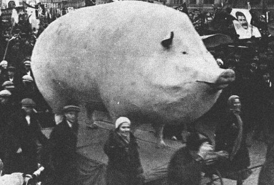 The meme is a picture of a pig in a tutu, dancing on its hind legs. The image is captioned "When you have to go outside for a walk but you really don't want to".